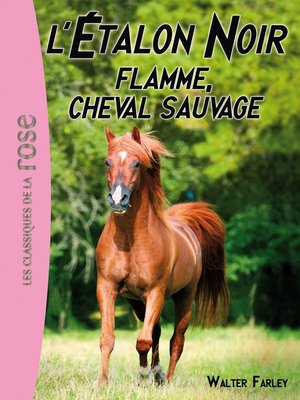cover image of L'Étalon Noir 10--Flamme, cheval sauvage